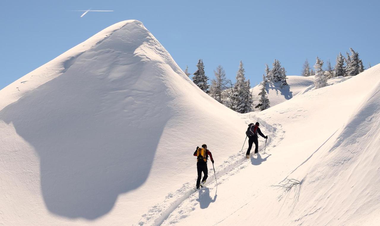 Naturhotel Huettenwirt Im Grossarltal Hüttschlag Buitenkant foto