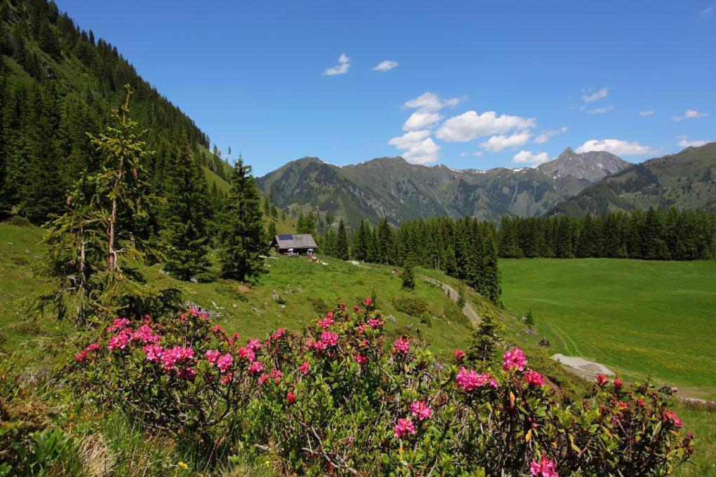 Naturhotel Huettenwirt Im Grossarltal Hüttschlag Buitenkant foto