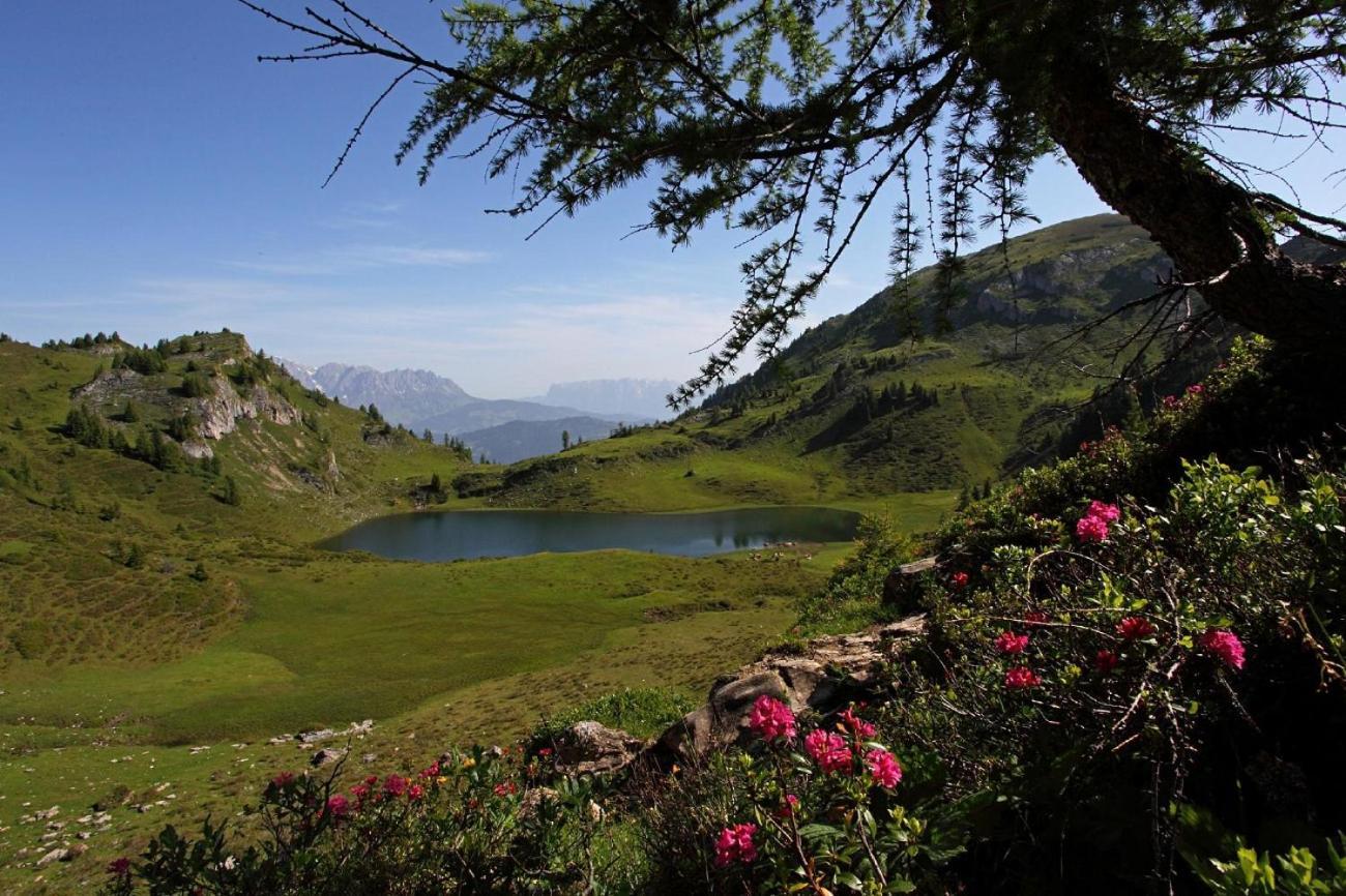 Naturhotel Huettenwirt Im Grossarltal Hüttschlag Buitenkant foto